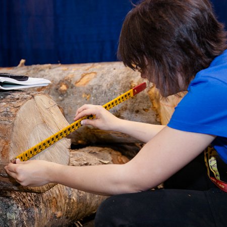 Ouvrier en sylviculture et en exploitation foresti&egrave;re