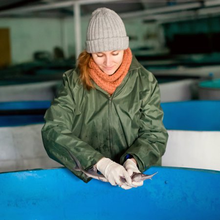 Technicien en aquaculture