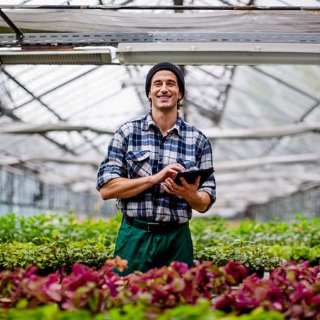 Ouvrier de p&eacute;pini&egrave;re et de serres