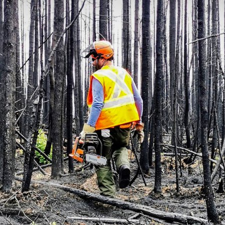 Op&eacute;rateur d'engins de d&eacute;bardage