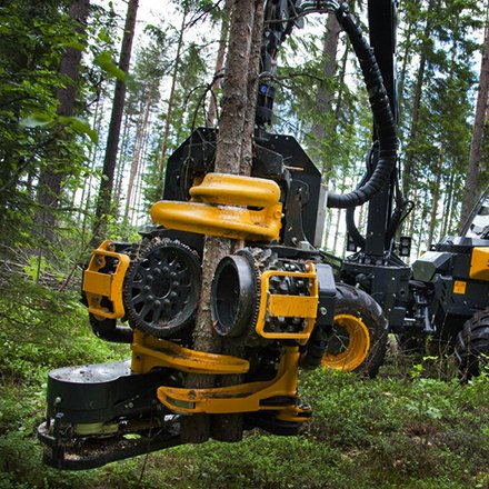 Conducteur de machines d'abattage d'arbres