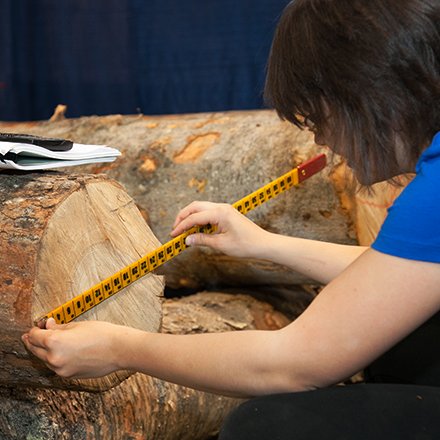 Silviculture and Forestry Worker