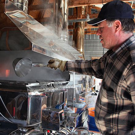 Maple Syrup Producer