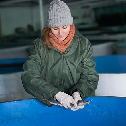 Aquaculture Technician