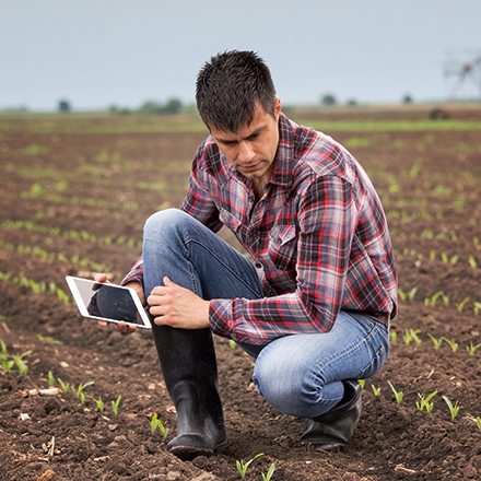 Technicien en production agricole et horticole